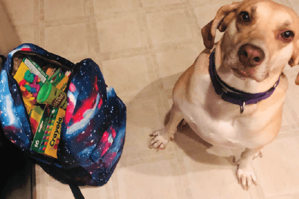 D3G | Backpack Donations