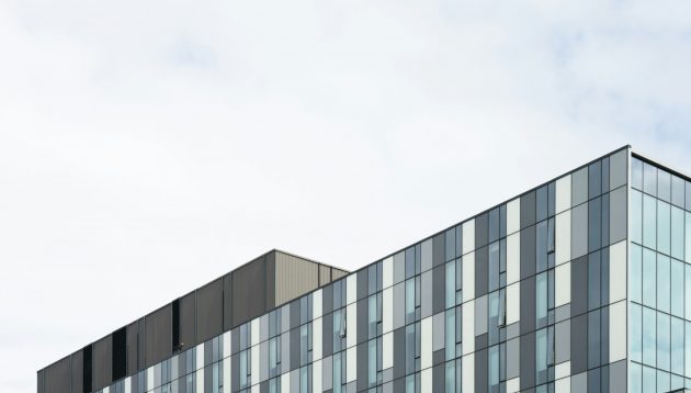 scott-webb-_K-QKkbn7Ds-unsplash